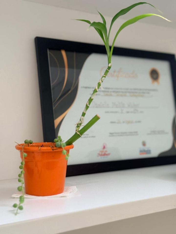 Certificado emoldurado ao lado de um vaso laranja com bambu